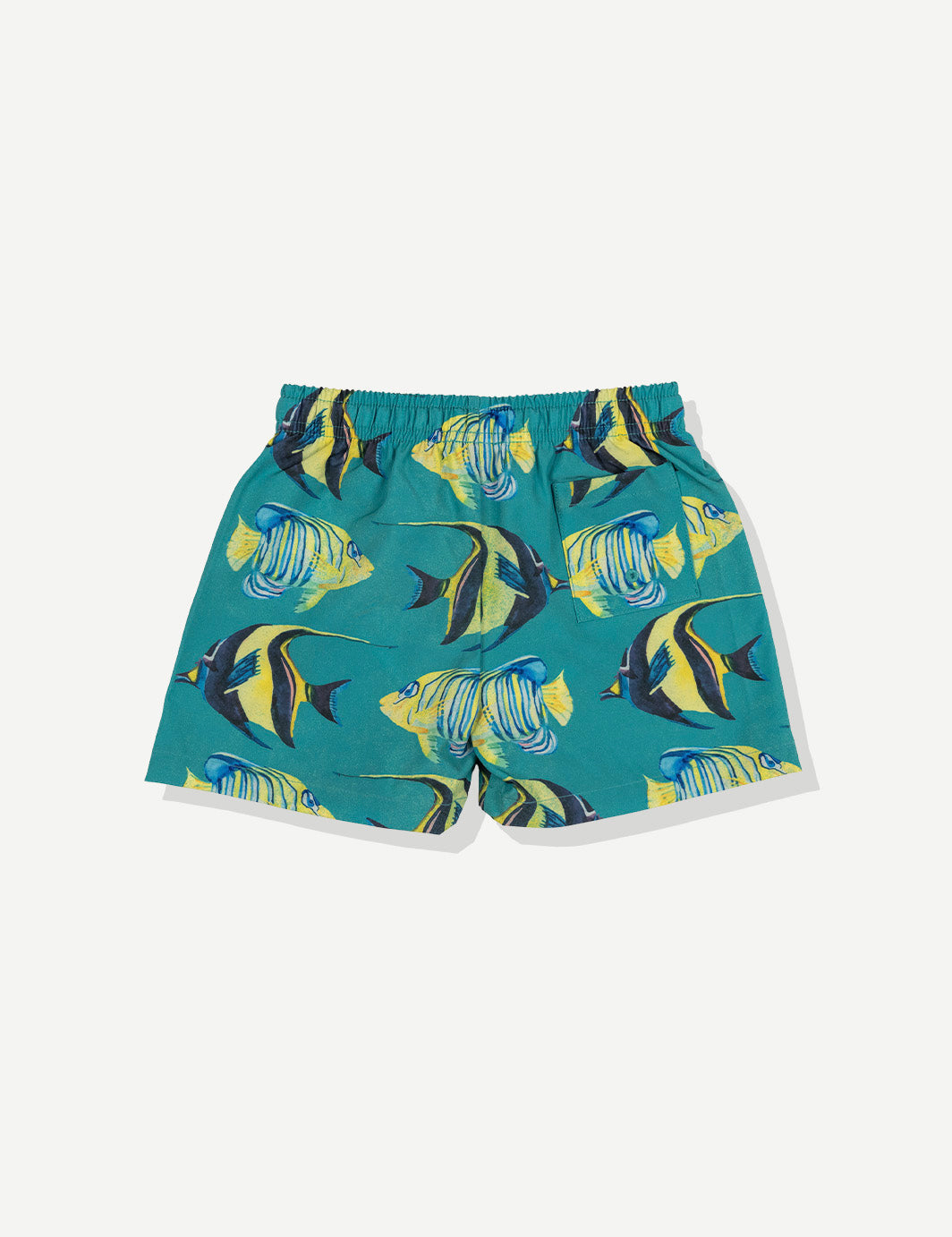 Duvin Kids Aquarium Swim Short - Marine