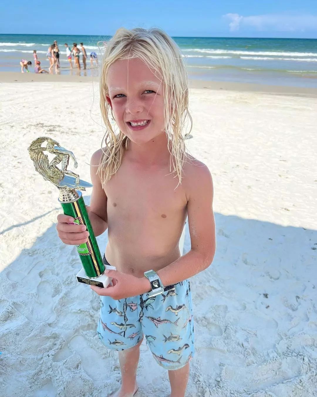 Freestyle Shark Classic Clip Watch - Luke The Grey