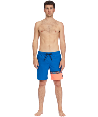 Billabong Sons of Fun Layback