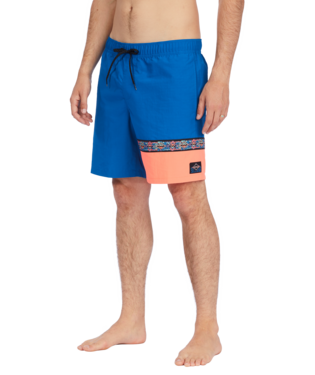 Billabong Sons of Fun Layback