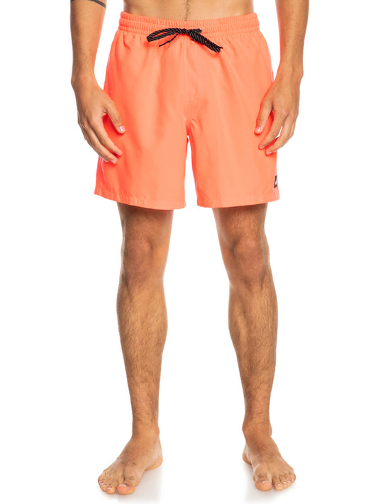 Quiksilver Everyday 17" Volleys