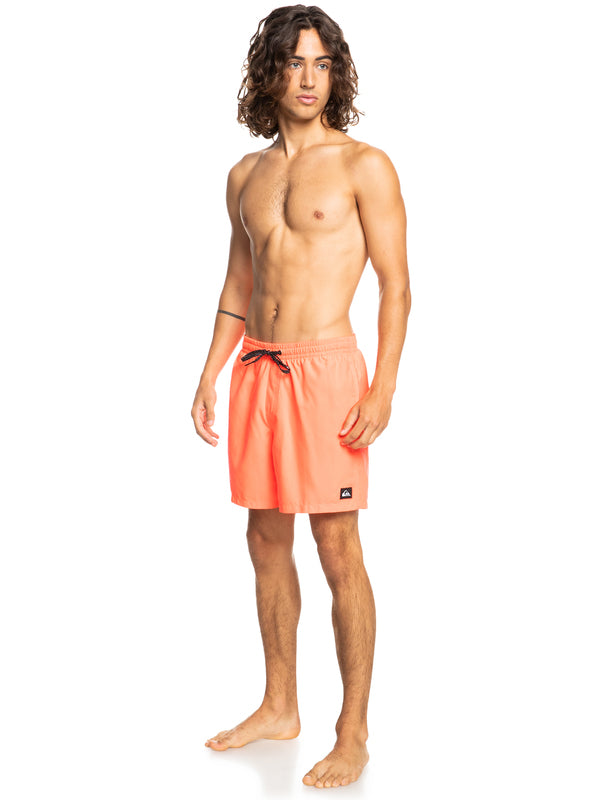 Quiksilver Everyday 17" Volleys