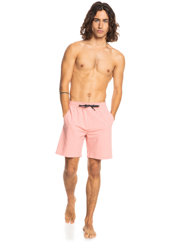 Quiksilver Elastic Checker 18" Amphibian Shorts