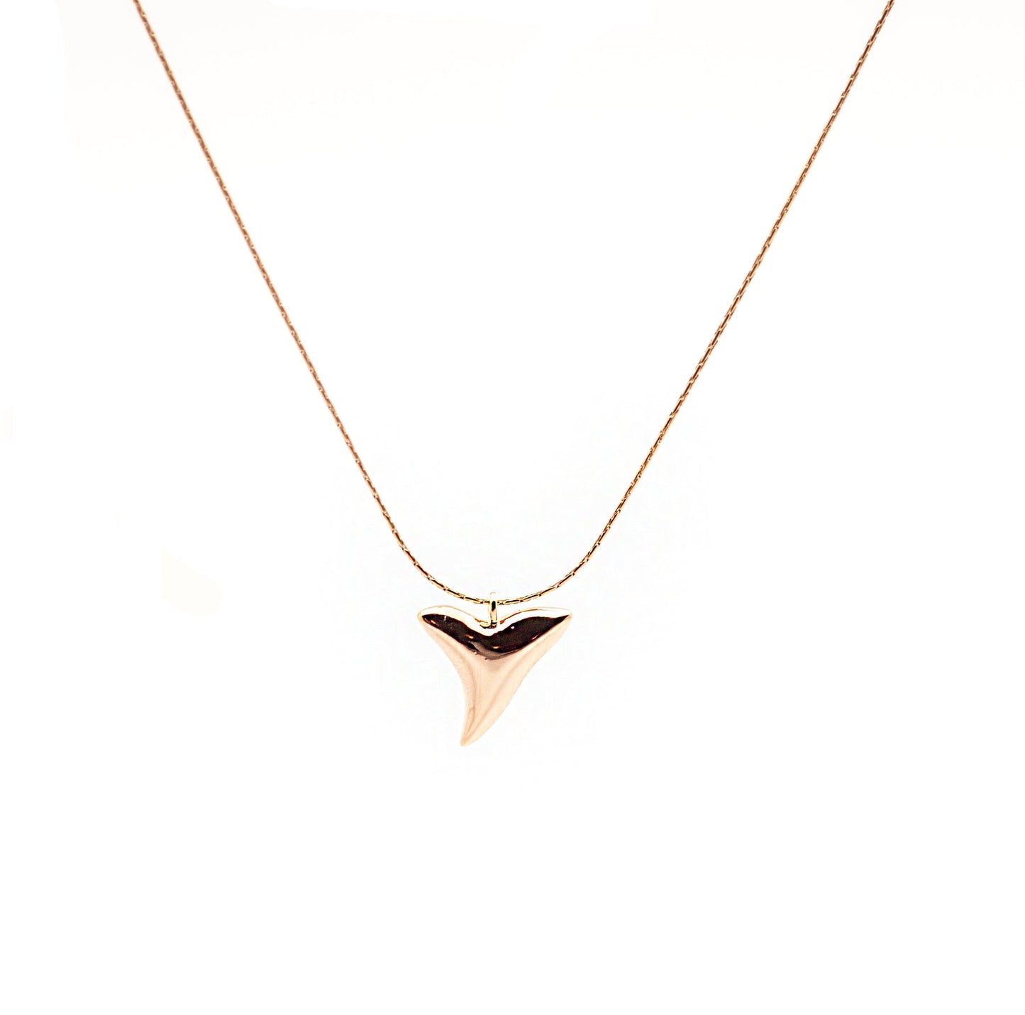 Salty Cali Shark Tooth Necklace - Gold