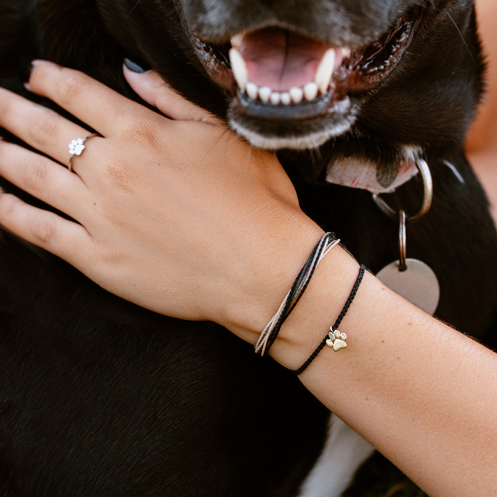 Pura Vida Bracelets Pet Rescue Charity Bracelet