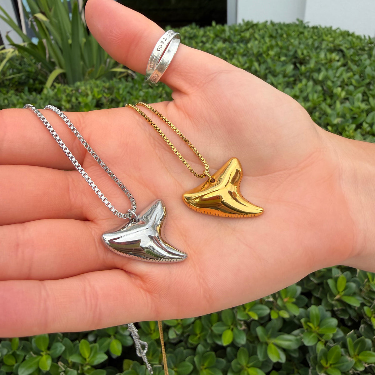 Shark Tooth Necklace - Gold