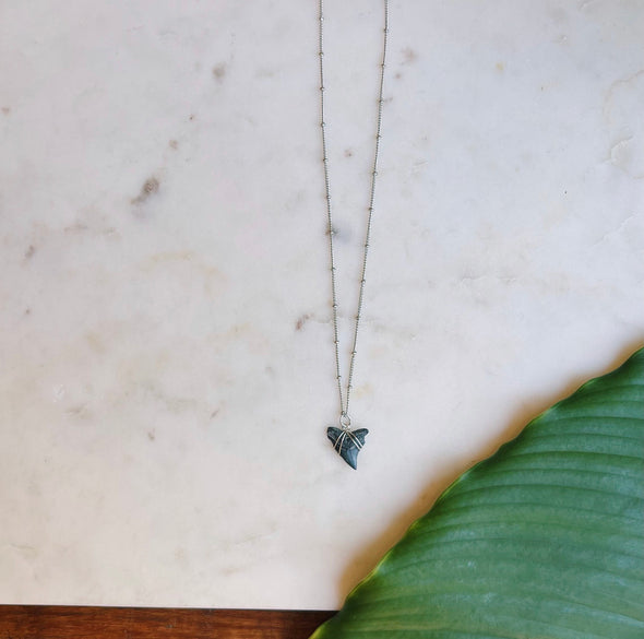 Delisico Studded Shark Tooth Necklace by Delisico