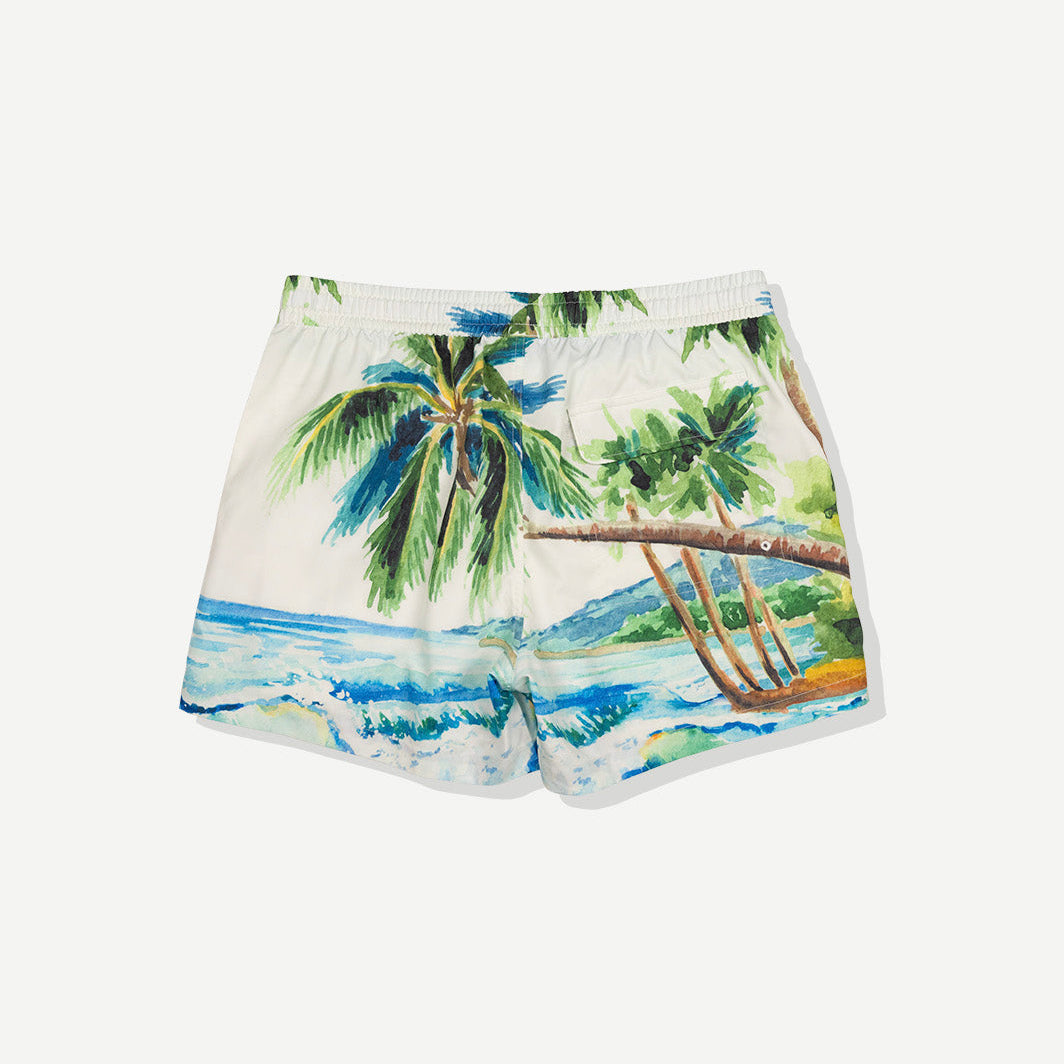 Duvin Postcard Swim Short - Blue
