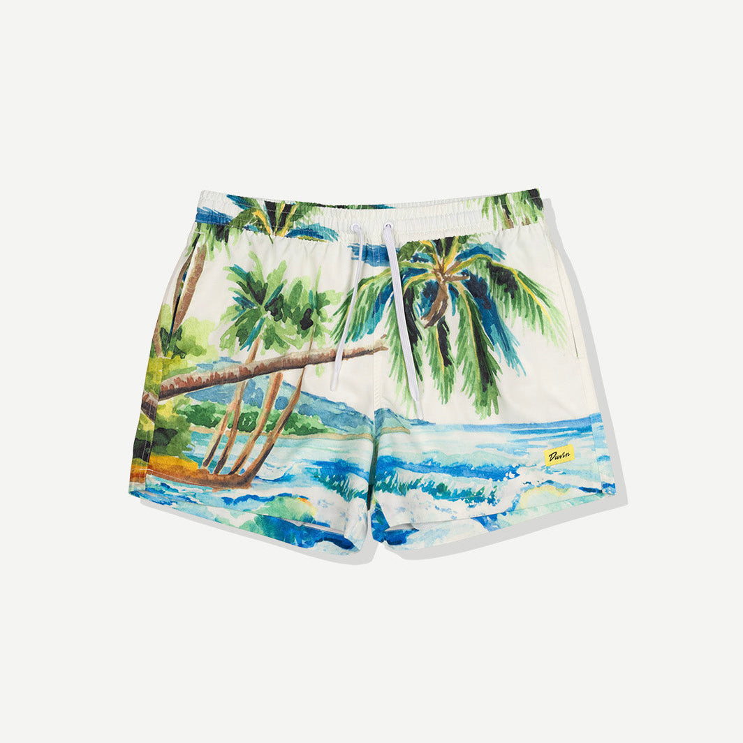 Duvin Postcard Swim Short - Blue
