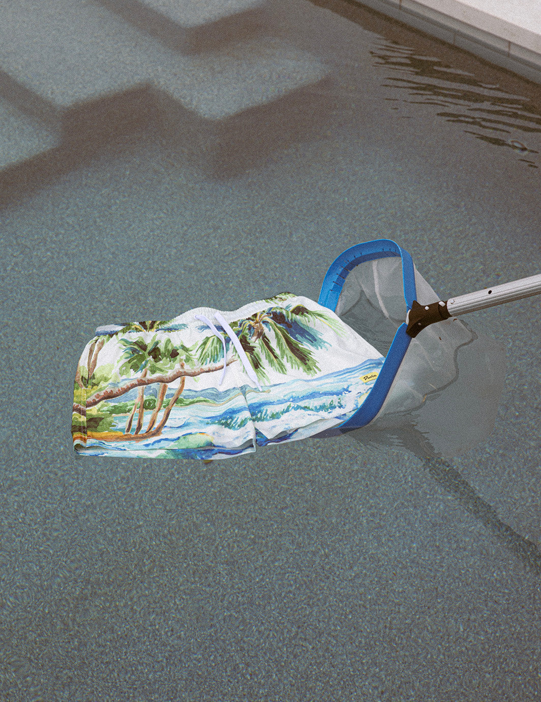 Duvin Postcard Swim Short - Blue