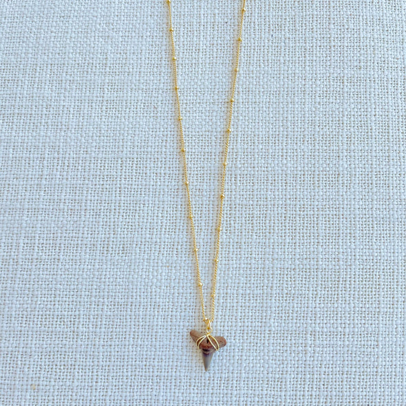 Delisico Studded Shark Tooth Necklace by Delisico