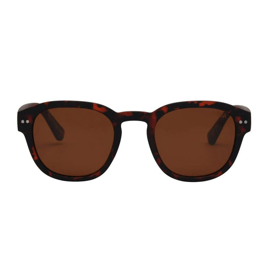I-Sea Barton Polarized Sunglasses - Tort