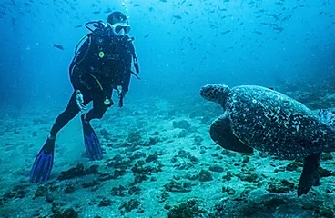 Excursions with Vistamar in Ayampe, Ecuador